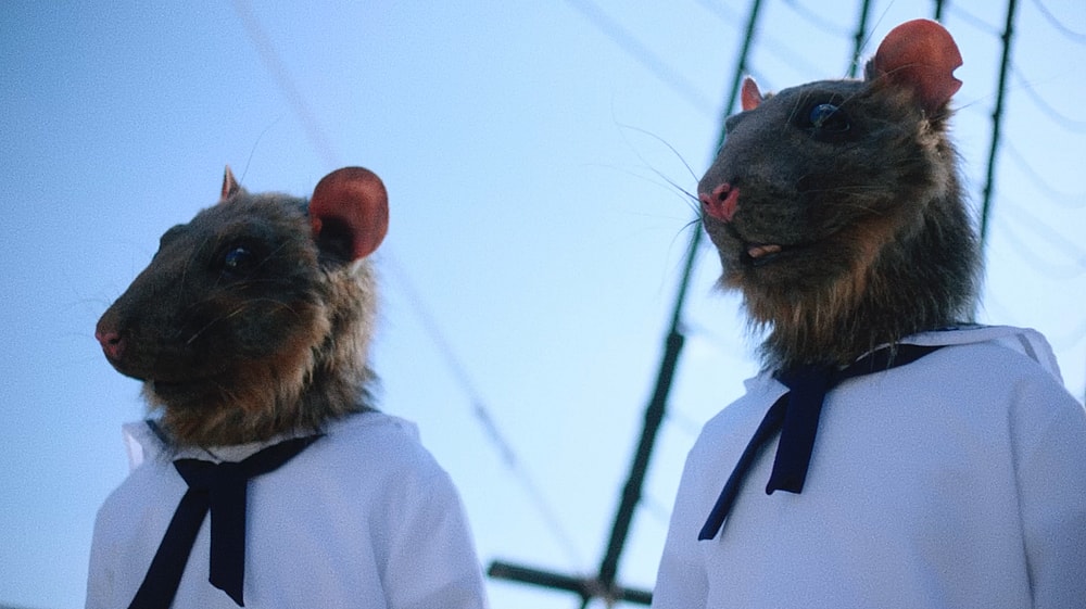 Strawberry Mansion Film-out 16mm