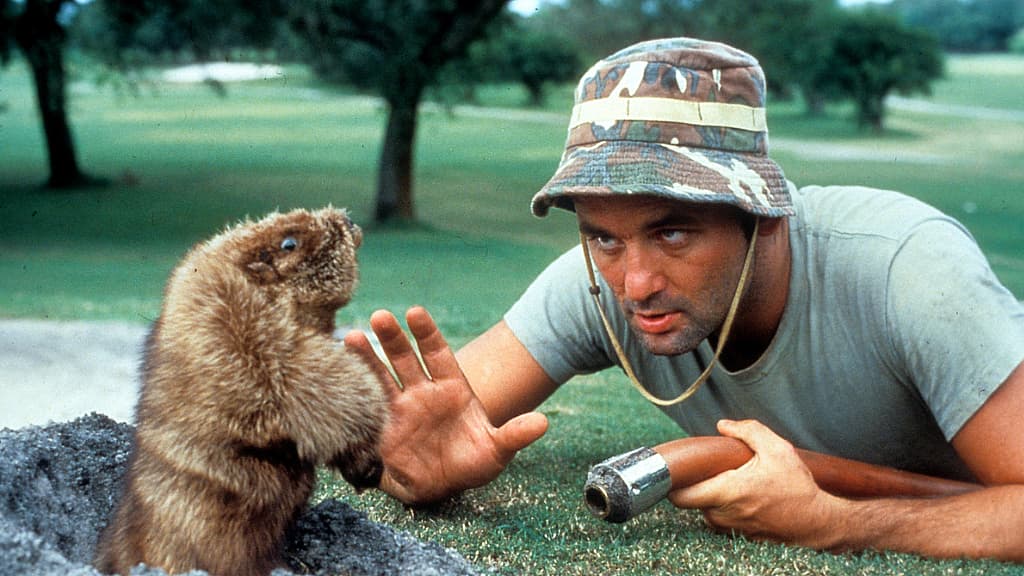 Silliest Movies We
