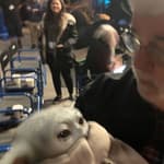 George Lucas Mandalorian Baby Yoda Marionette Land Netflix shuffle Ben Cross Chariots of Fire