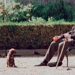 Godfather Coda ending How does Michael Corleone die