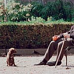 Godfather Coda ending How does Michael Corleone die