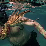 MY OCTOPUS TEACHER EarthxFilm