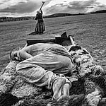 The Painted Bird Sound Design Václav Marhoul