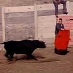 Possessor David Cronenberg Jose Delgado Bull