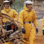 Movies That Predicted 2020