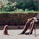 Godfather Coda ending How does Michael Corleone die