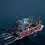 Seaspiracy Exposes Slave Labor Used in Commercial Fishing Industry