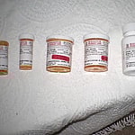 carol bosley HBO lynn webster