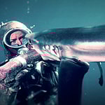 Jaws Heroine Playing With Sharks Valerie Taylor