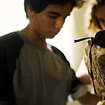 the falconer falcon scad