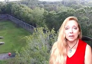 Don Lewis Carole Baskin Tiger King lawsuit Joe Exotic Jeff Loew