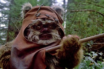 Ewoks Lose Home to Logging Empire