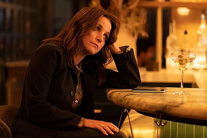 You Hurt My Feelings Is 'A Very Small Thing About a Very Big Thing,' Julia Louis-Dreyfus Says