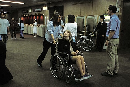 lost in translation bill murray sofia coppola forever young