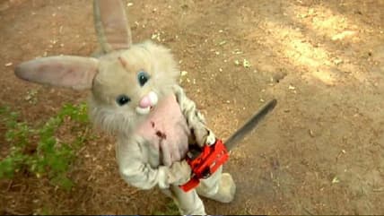 Movies With People Dressed as Bunnies