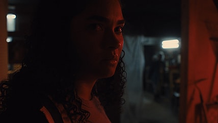 In Our Blood Pedro Kos