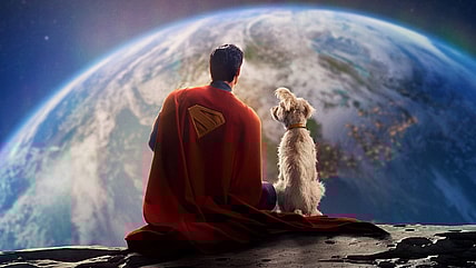 Krypto Superman Dog
