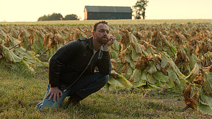 Honey Lauren Mistake