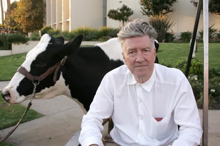 David Lynch quotes