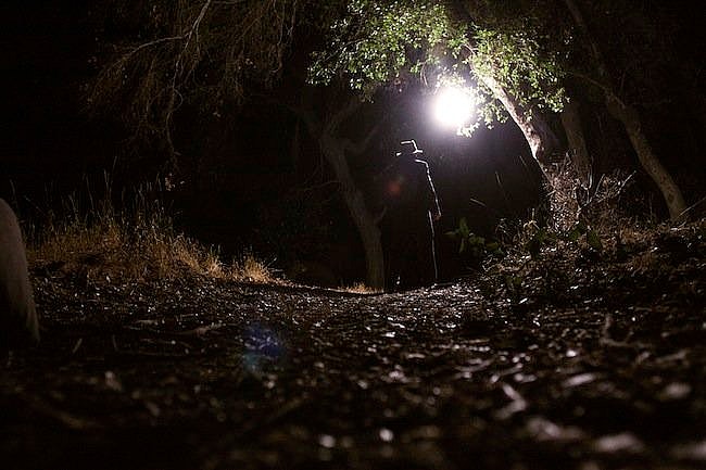 The woods in Santa Clarita, a perfect setting for a genre-based film