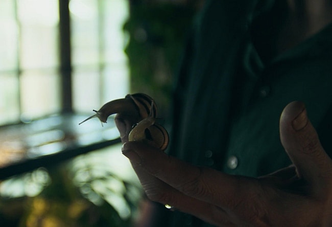 Deep Water Ben Affleck Snails