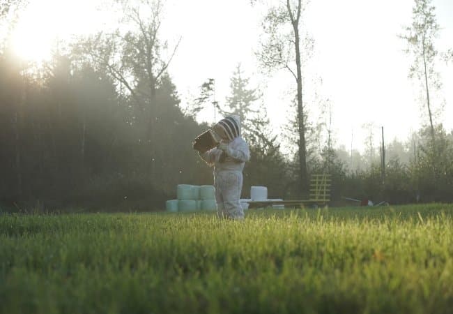 Attack of the Murder Hornets: That Time a Deadly Bug Made a Beeline for the Director