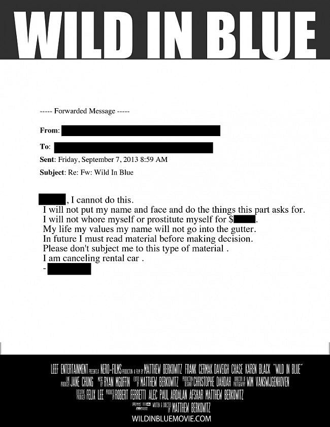 A poster idea for Wild in Blue, based on an email written to the producers by a potential cast member