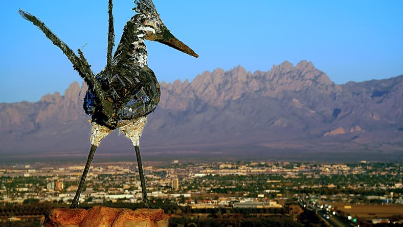 New Mexico Media Arts Collective