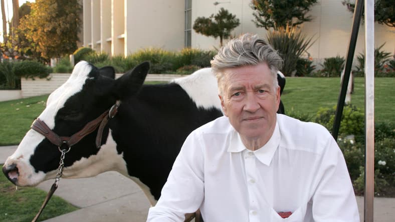 David Lynch quotes