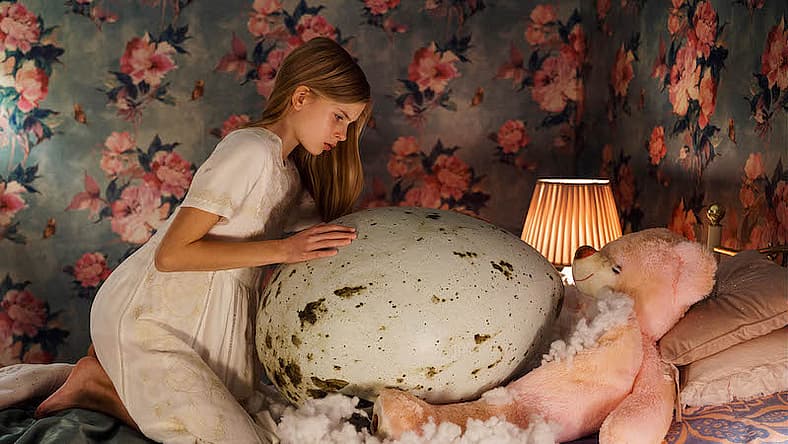 Hatching Sundance Survey 2022