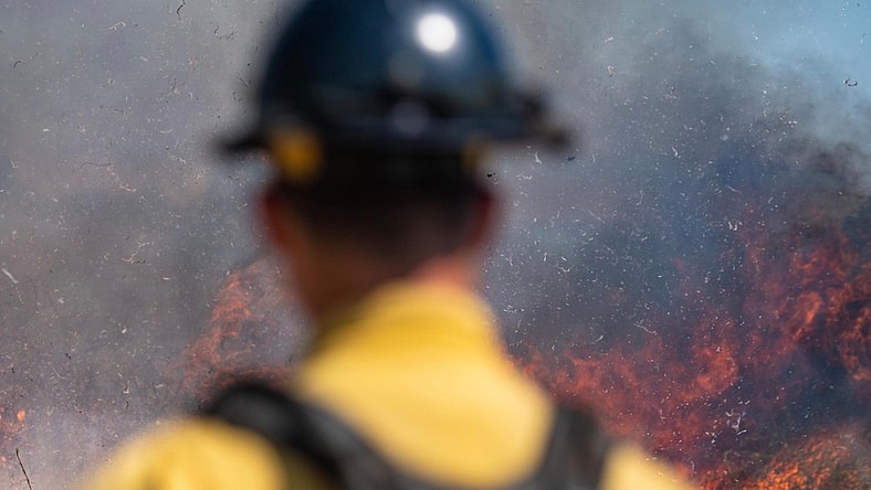 Los Angeles Fires How to Help