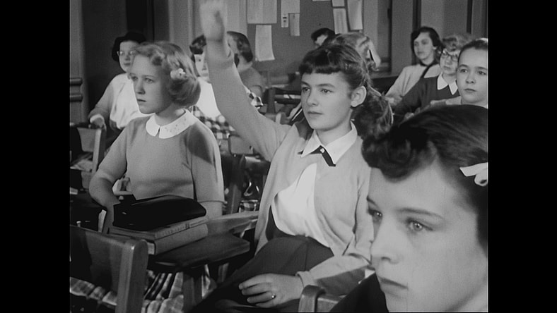 Nice Girls Don't Ask tradwife