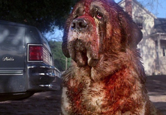 Stephen King Cujo