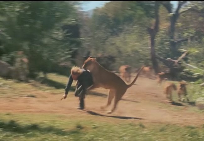 The Making of Roar Lions and Tigers and Stitches Oh My