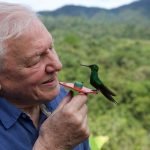 David Attenborough Life in Color Netflix