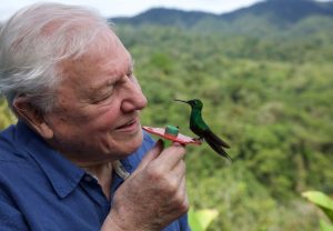 David Attenborough Life in Color Netflix