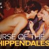 Curse of the Chippendales Discovery+