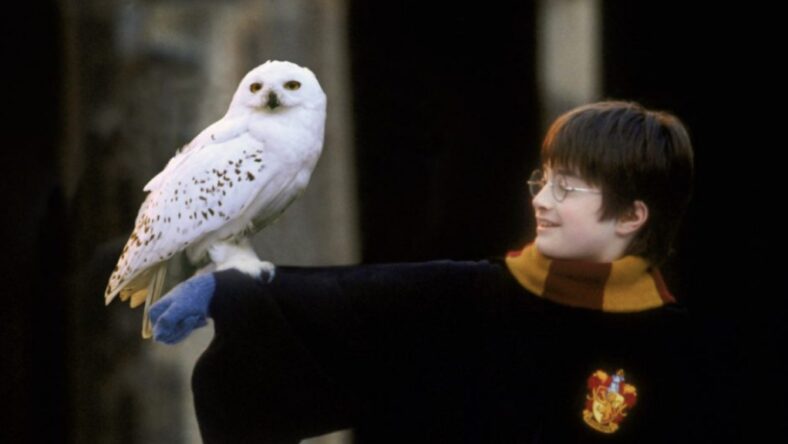 Steven Spielberg Almost Directed Harry Potter and the Sorcerer's Stone