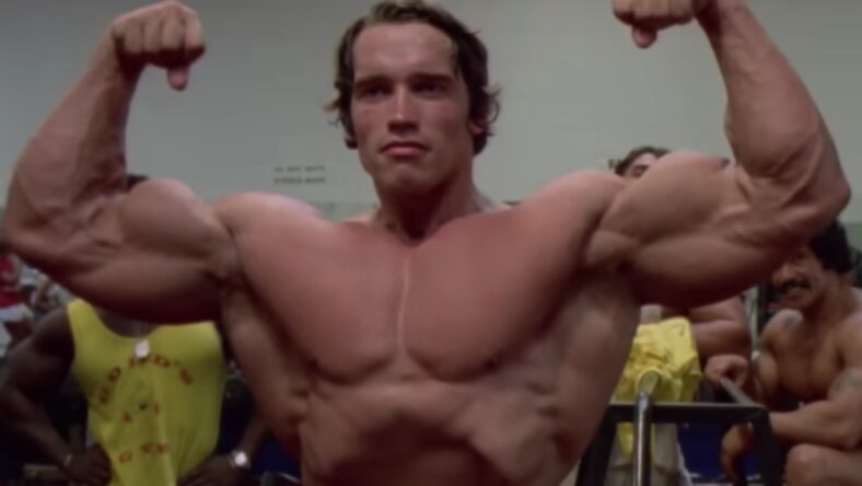 7 Unbelievable Things We Learned From Netflix's Arnold Schwarzenegger Doc