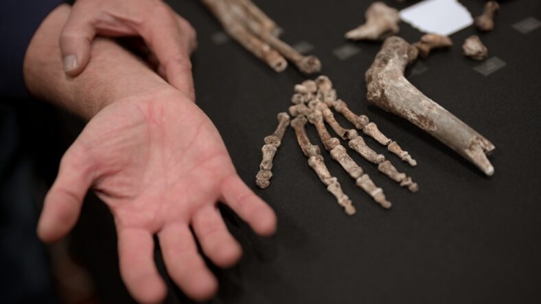Did Homo Naledi Bury Their Dead? Unknown: Cave of Bones Fuels Debate About Our Ancient Cousins